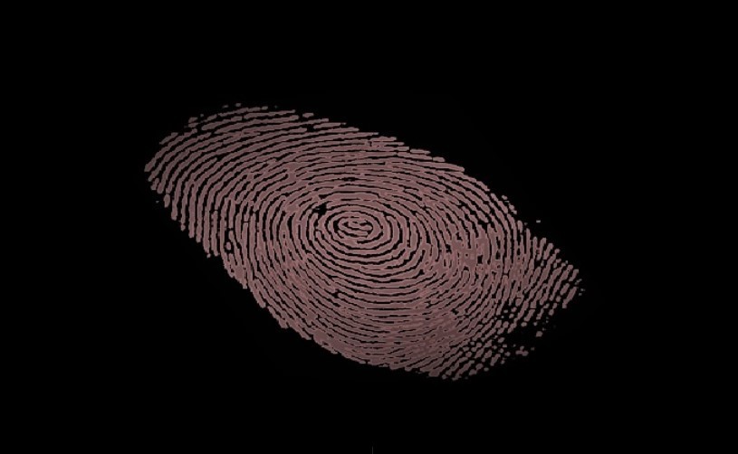 Employee Backgrounds